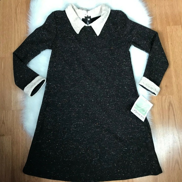 Bonnie Jean Other - Bonnie Jean Girls Dress Brown Lace Collar Size 10